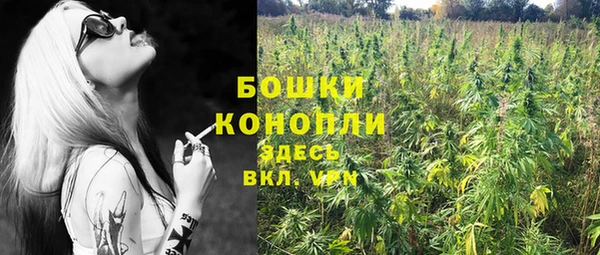 твердый Лиски