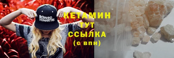молекула духа Вяземский