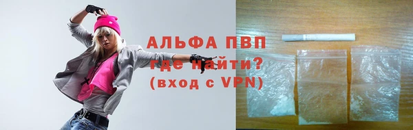 СК Вязьма
