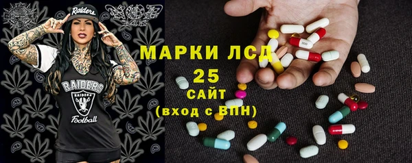 СК Вязьма