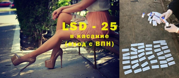 молекула духа Вяземский