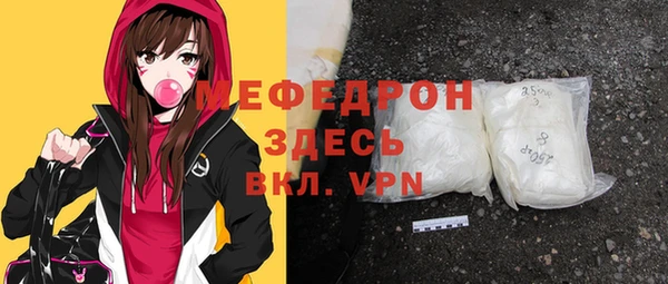 молекула духа Вяземский