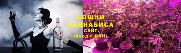 молекула духа Вяземский