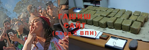 PSILOCYBIN Тайга