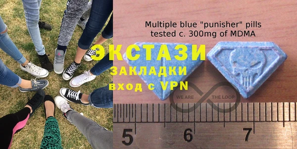 молекула духа Вяземский