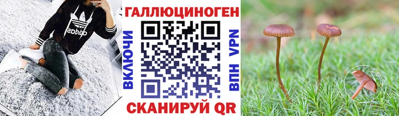 Галлюциногенные грибы MAGIC MUSHROOMS  гидра   Окуловка 